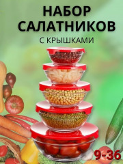 Набор салатников с крышкой 5 шт