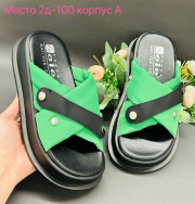Сланцы