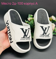 Сланцы