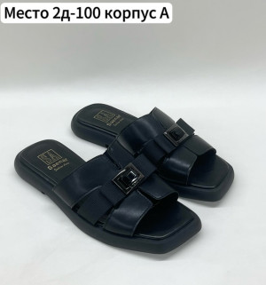 Сланцы 22697253