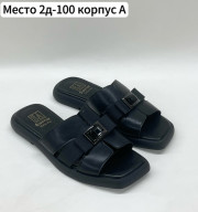 Сланцы
