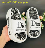 Сланцы