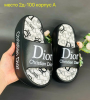 Сланцы