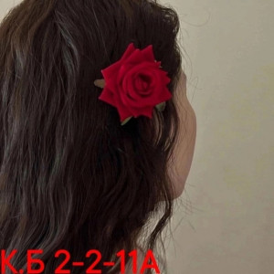 Заколка для волос #22763778