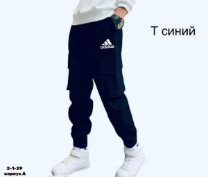 Спортивные брюки #22810386