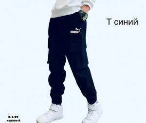Спортивные брюки #22811041