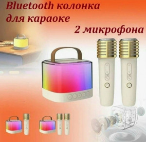 Караоке-машина с двумя микрофонами #22927440