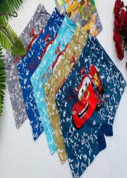 Трусы для мальчиков 10шт