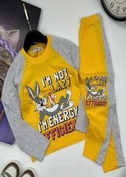 Спортивный костюм