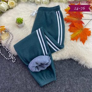 Спортивные брюки 23090047