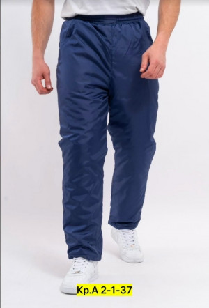 Штаны #23183520