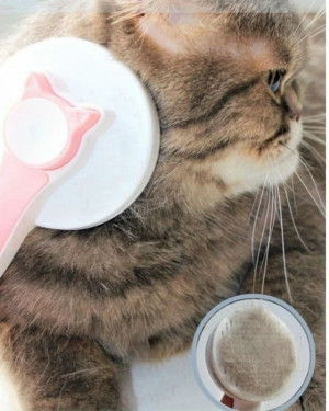 Расческа #23197206