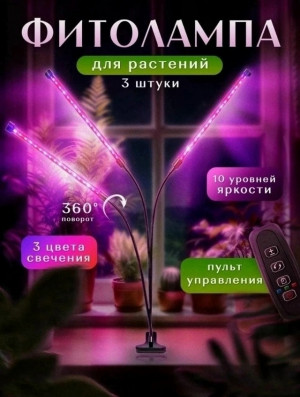 Комплект #23197359