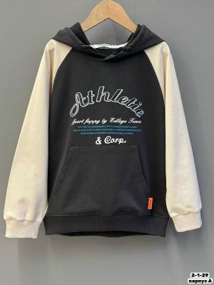 Толстовка #23209174