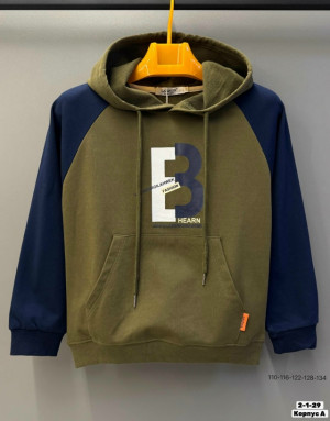 Толстовка #23210340