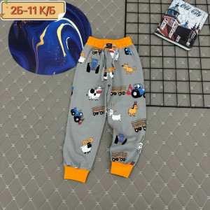 Штаны #23213400