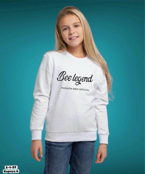 Толстовка 23227696