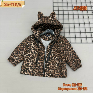 Ветровка #23232708