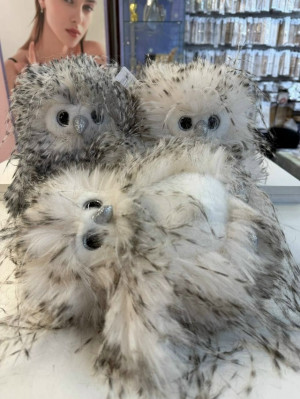 Игрушка #23238675