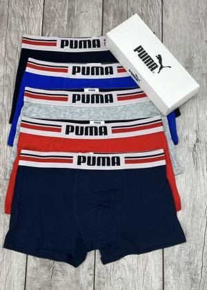 Трусы #23258654