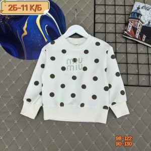 Толстовка 23266479