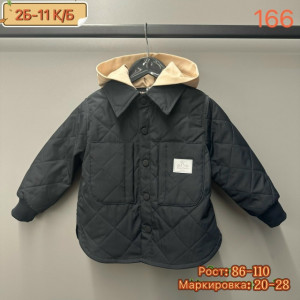 Ветровка #23273515