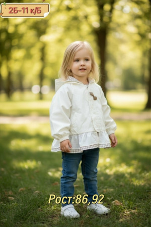 Ветровка #23293566