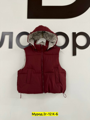 Жилет 23294496
