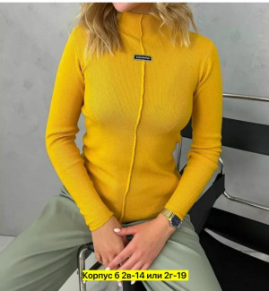 Водолазка #23312022