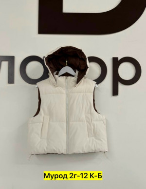 Жилет #23322868
