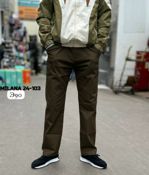 Штаны #23338460