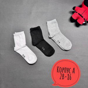 Носки #23434647