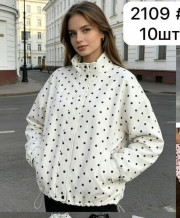 Ветровка