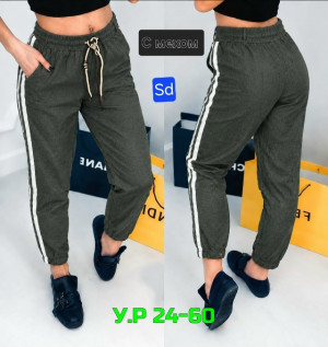 Штаны #23501673