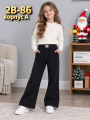 Штаны