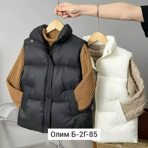Жилет 23543883