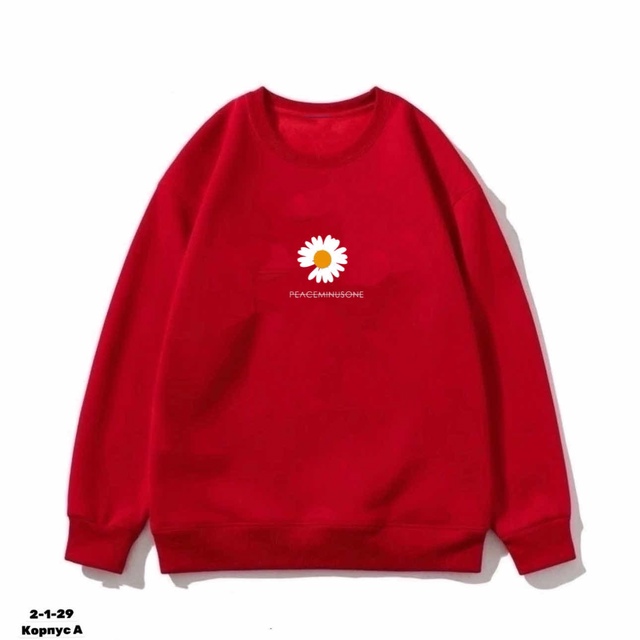 Толстовка 22910295