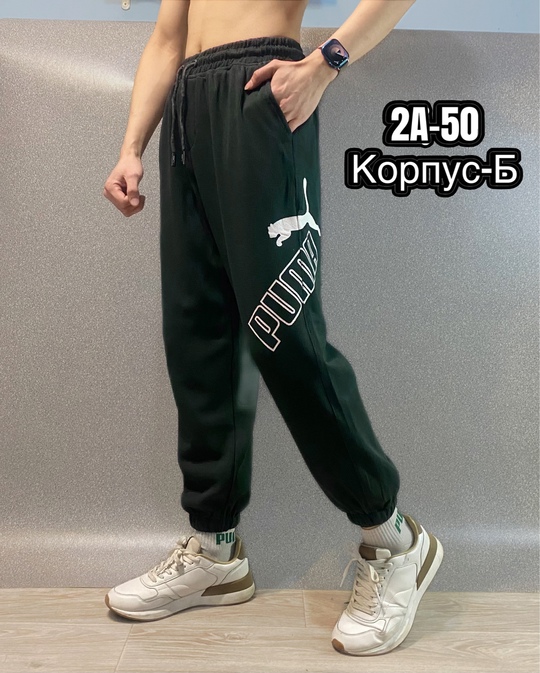 Спортивные брюки 22917858