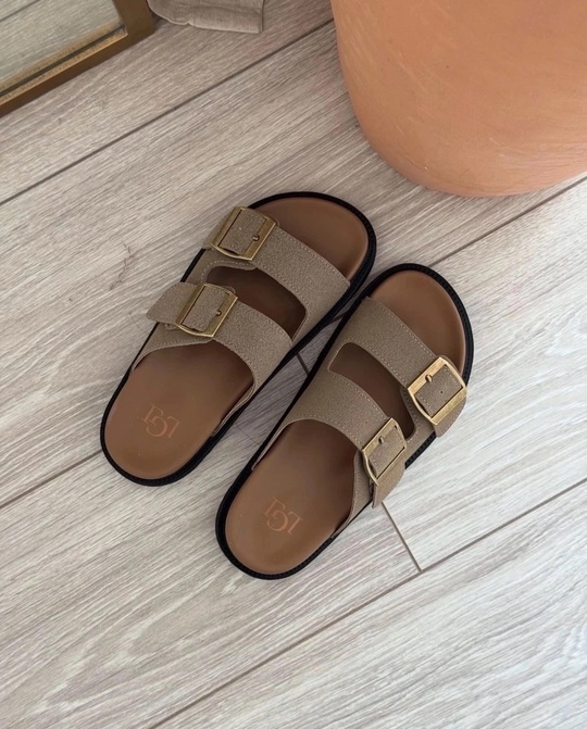 Сланцы 22919399