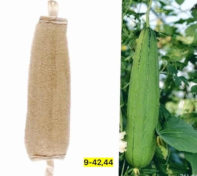 Перчатки 22938825