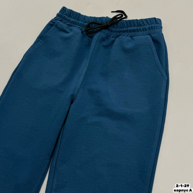 Штаны 22954022