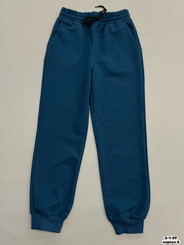 Штаны 22954022