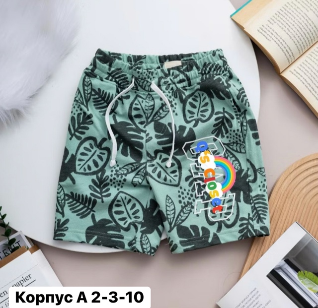 Шорты 23008163