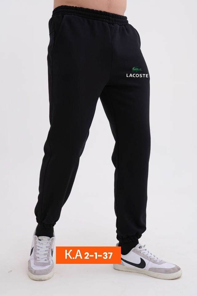 Спортивные брюки 23048999