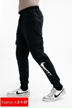 Спортивные брюки 23070118