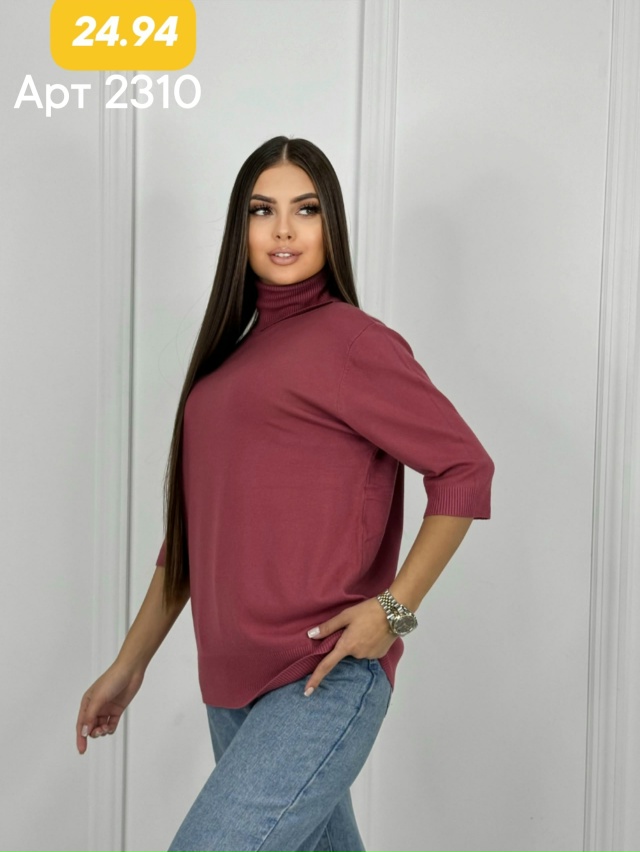 Водолазка 23072463