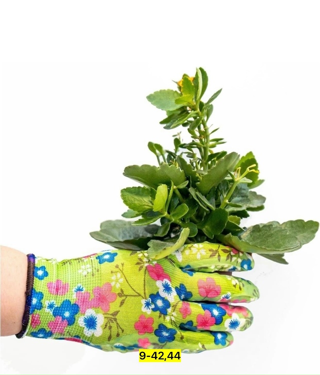 Перчатки 23084763