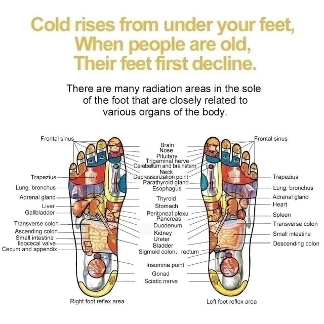 Артикул 23167152