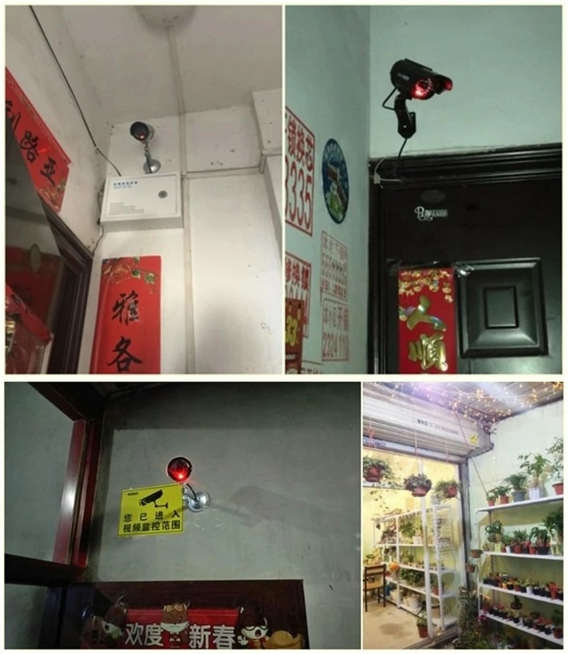 Камера муляж 23172385