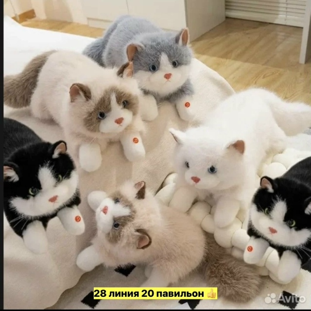 Котик 23546155